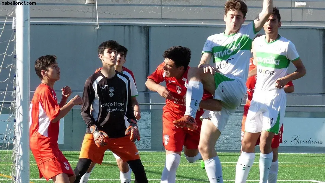 IMG_20190526_133539_659